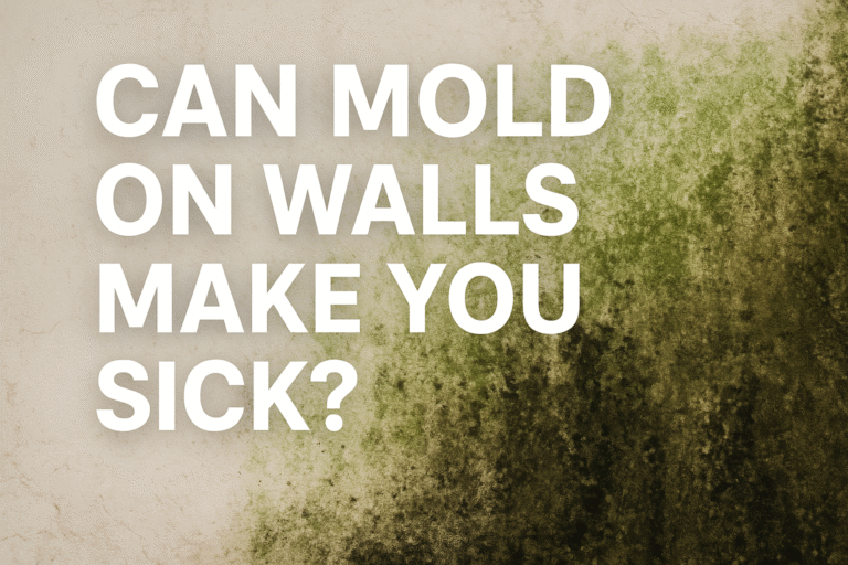 Can Mold On Walls Make You Sick